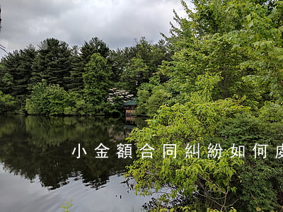 小金額合同糾紛如何處理