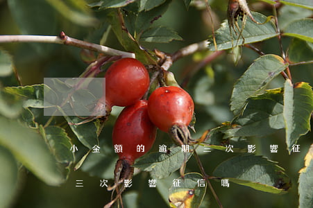 小金額的逾期三次影響征信嗎(小金額的逾期三次影響征信嗎)