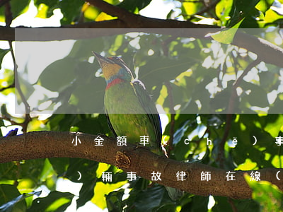 小金額車(chē)事故找律師(車(chē)輛事故律師在線(xiàn)咨詢(xún))