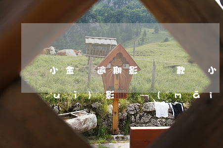 小金額逾期影響貸款嗎(小額貸款逾期會(huì)影響買(mǎi)房么)