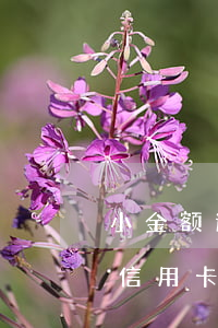 小金额逾期可以办信用卡吗(有严重逾期能办信用卡吗)