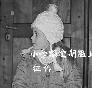 小金额逾期能上征信吗(小鹅花钱逾期多久上征信)