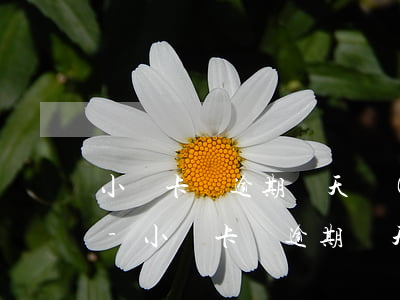 小銀卡貸逾期幾天開(kāi)始電話催款-小銀卡貸逾期幾天開(kāi)始電話催款是真的嗎