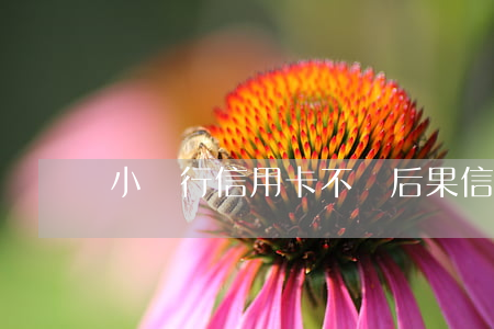 小銀行信用卡不還后果(信用卡還不起的后果)