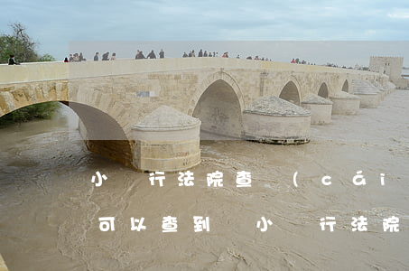 小銀行法院查財(cái)產(chǎn)可以查到嗎(小銀行法院查財(cái)產(chǎn)可以查到嗎)