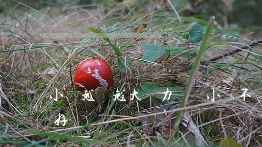 小錢越滾越大無力償還 小錢不斷是好還是不好