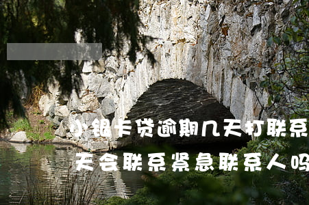 小银卡贷逾期几天打联系人(小赢卡贷逾期一天会联系紧急联系人吗)