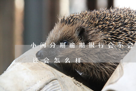 小闪分期逾期银行会不会起诉(闪分期逾期不还会怎么样)