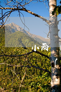 小雨點(diǎn)網(wǎng)貸逾期凍結(jié)銀行卡怎么辦-小雨點(diǎn)網(wǎng)貸逾期凍結(jié)銀行卡怎么辦理