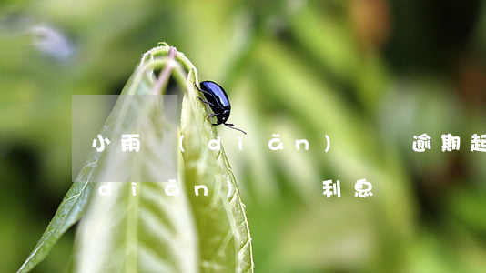 小雨點(diǎn)閃貸逾期起訴(小雨點(diǎn)閃貸利息)