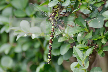 小額代款還款逾期