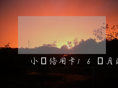 小額信用卡16個月逾期(逾期15個月)