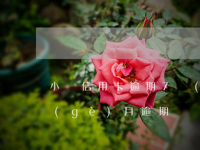 小額信用卡逾期7個(gè)月 信用卡7個(gè)月逾期狀態(tài)