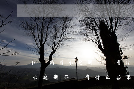 小額信用卡逾期不還有什么后果-小額信用卡逾期不還有什么后果嗎