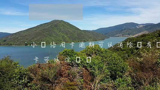 小額信用卡逾期可以消除嗎(有過逾期的信用卡可以注銷嗎)