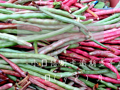 小額信用卡逾期多年(2016年信用卡逾期一個(gè)月)