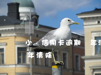 小額信用卡逾期幾年清除(小額信用卡逾期幾年清除)