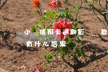 小額信用卡逾期影響貸款(小額貸款逾期了會有什么后果)