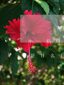 小額信用卡逾期是什么后果(小額信用卡逾期是什么后果造成的)