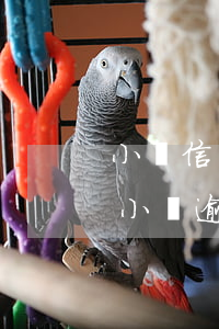 小額信用卡逾期會(huì)做坐牢(信用卡小額逾期有影響嗎)