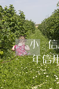 小額信用卡逾期起訴法院不受理-2020年信用卡逾期被起訴立案后怎么解決