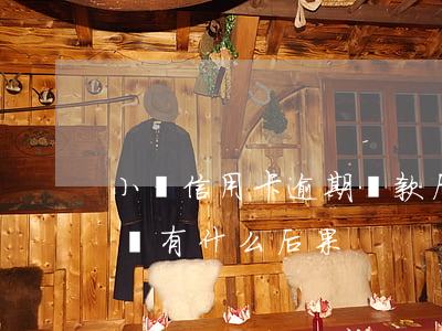 小額信用卡逾期還款后果(信用卡貸款逾期不還有什么后果)
