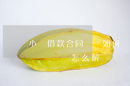 小額借款合同糾紛如何處理(因為借款產生的糾紛問題怎么解決)
