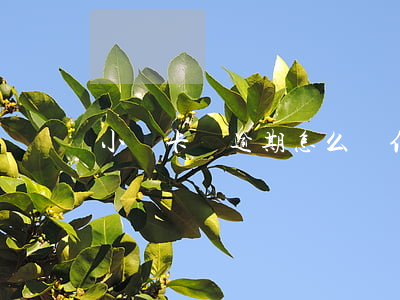小額卡貸逾期怎么辦（信用卡逾期小貸逾期）