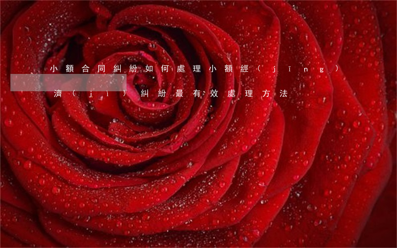 小額合同糾紛如何處理(小額經(jīng)濟(jì)糾紛最有效處理方法)