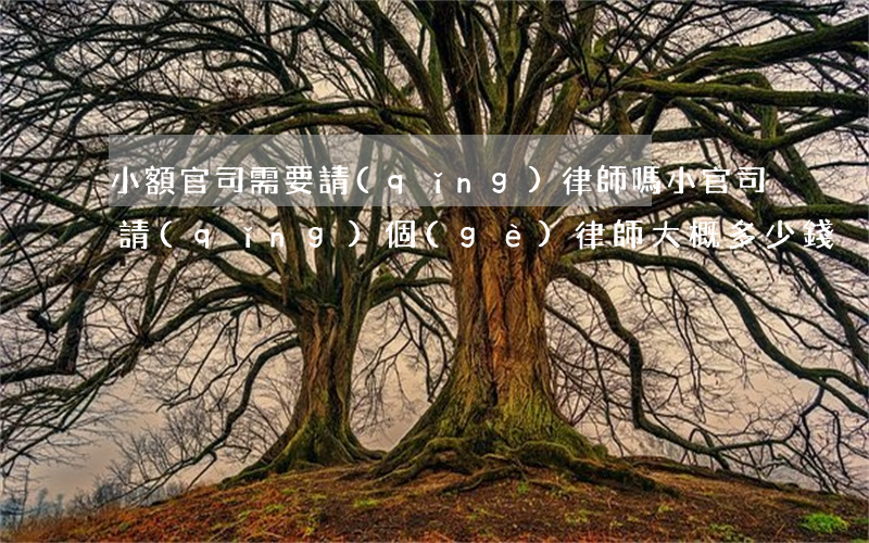 小額官司需要請(qǐng)律師嗎(小官司請(qǐng)個(gè)律師大概多少錢)