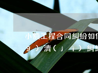 小額工程合同糾紛如何處理(小額經(jīng)濟(jì)糾紛起訴流程)