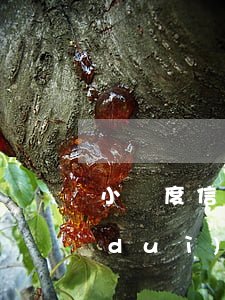 小額度信用卡逾期，如何應(yīng)對(duì)小額度信用卡逾期問(wèn)題？