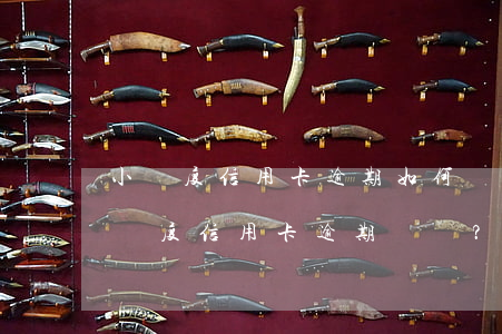 小額度信用卡逾期，如何應(yīng)對小額度信用卡逾期問題？