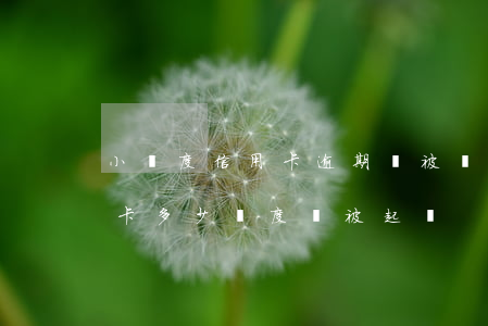 小額度信用卡逾期會被銀行起訴嗎（逾期信用卡多少額度會被起訴）