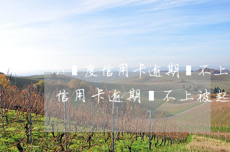 小額度信用卡逾期還不上被起訴嗎-小額度信用卡逾期還不上被起訴嗎怎么辦