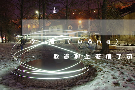 小額度網(wǎng)貸征信逾期修改條件-貸款逾期上征信了可以更改嗎?