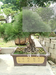 小額度貸款逾期能辦信用卡(貸款逾期能辦理信用卡嗎)