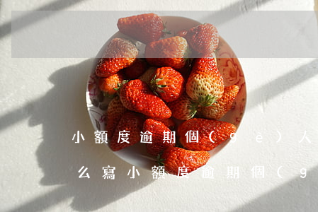 小額度逾期個(gè)人征信異議申請書怎么寫（小額度逾期個(gè)人征信異議申請）