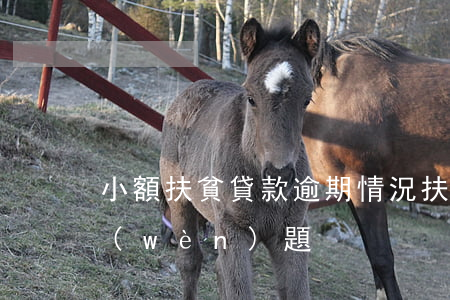 小額扶貧貸款逾期情況(扶貧小額信貸存在問(wèn)題)