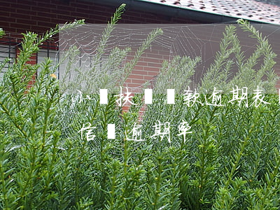 小額扶貧貸款逾期表態(tài)(扶貧小額信貸逾期率)