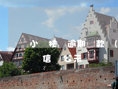 小額扶貧逾期貸款調(diào)研(扶貧小額信貸公示)