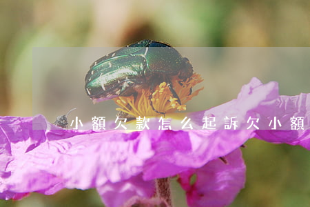 小額欠款怎么起訴(欠小額貸款被起訴怎么辦)