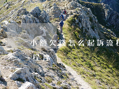 小額欠錢怎么起訴流程(小額欠款怎么走法律程序)