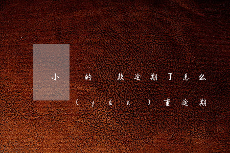 小額的貸款逾期了怎么辦(小額貸逾期多久算嚴(yán)重逾期)