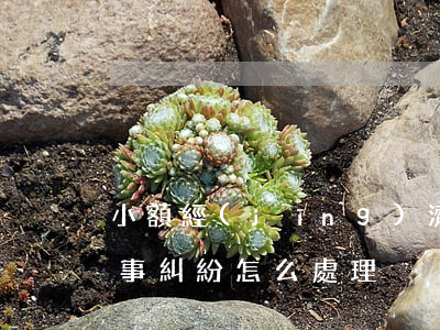 小額經(jīng)濟糾紛怎么處理(小額民事糾紛怎么處理)