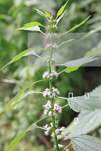 小額網(wǎng)貸20多家怎么辦(網(wǎng)貸小額貸款)