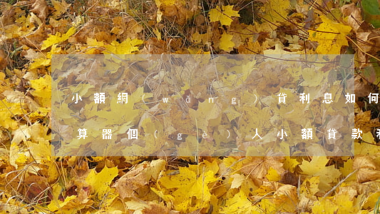 小額網(wǎng)貸利息如何計(jì)算器(個(gè)人小額貸款利率計(jì)算器)