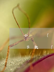 小額網(wǎng)貸口子哪個(gè)好下款(網(wǎng)貸最好下的口子)