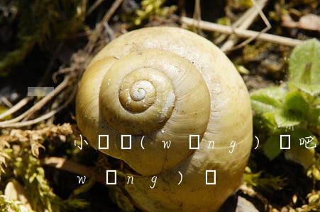 小額網(wǎng)貸吧，小額貸是不是網(wǎng)貸