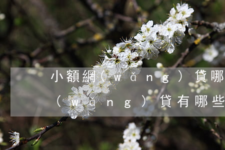 小額網(wǎng)貸哪個平臺好下款(小網(wǎng)貸有哪些平臺)